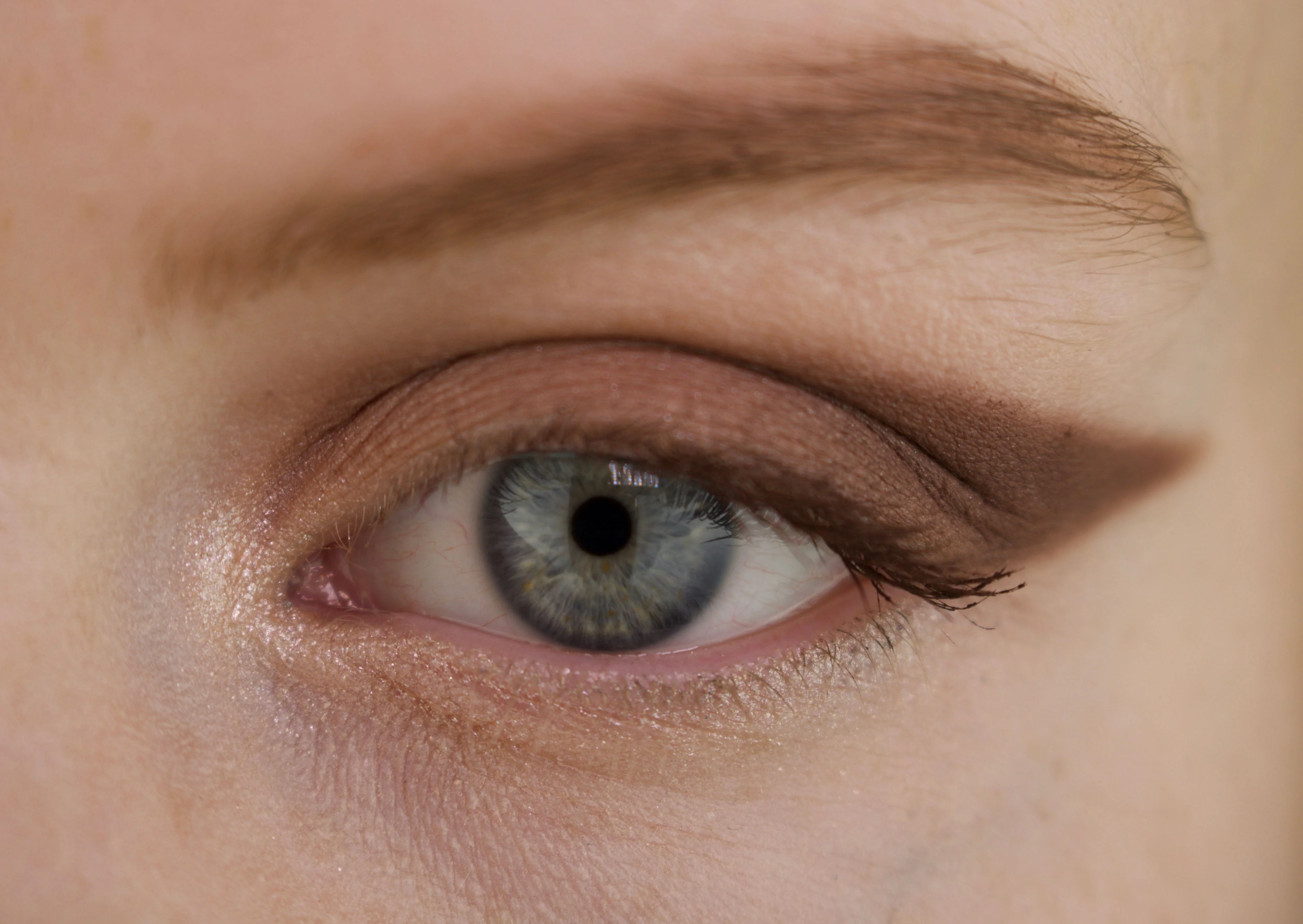 Eyeshadow Matte Chocolate - Image 4